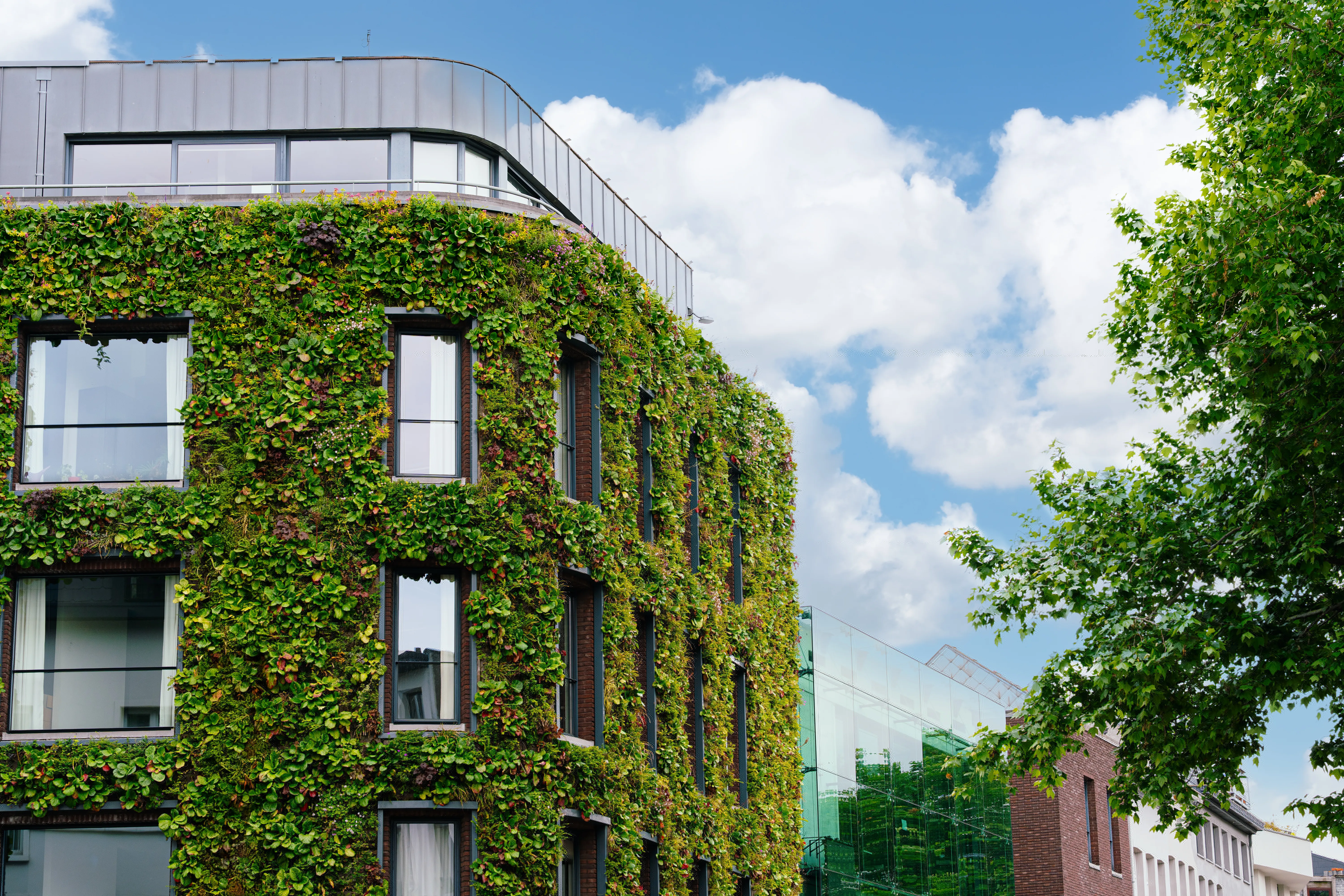 A modern building with a living green facade covered in plants under a blue sky